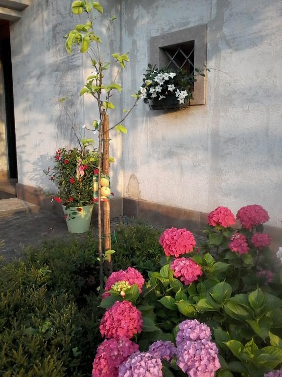 Il Giuggiolo Bed and Breakfast Conegliano Exteriör bild