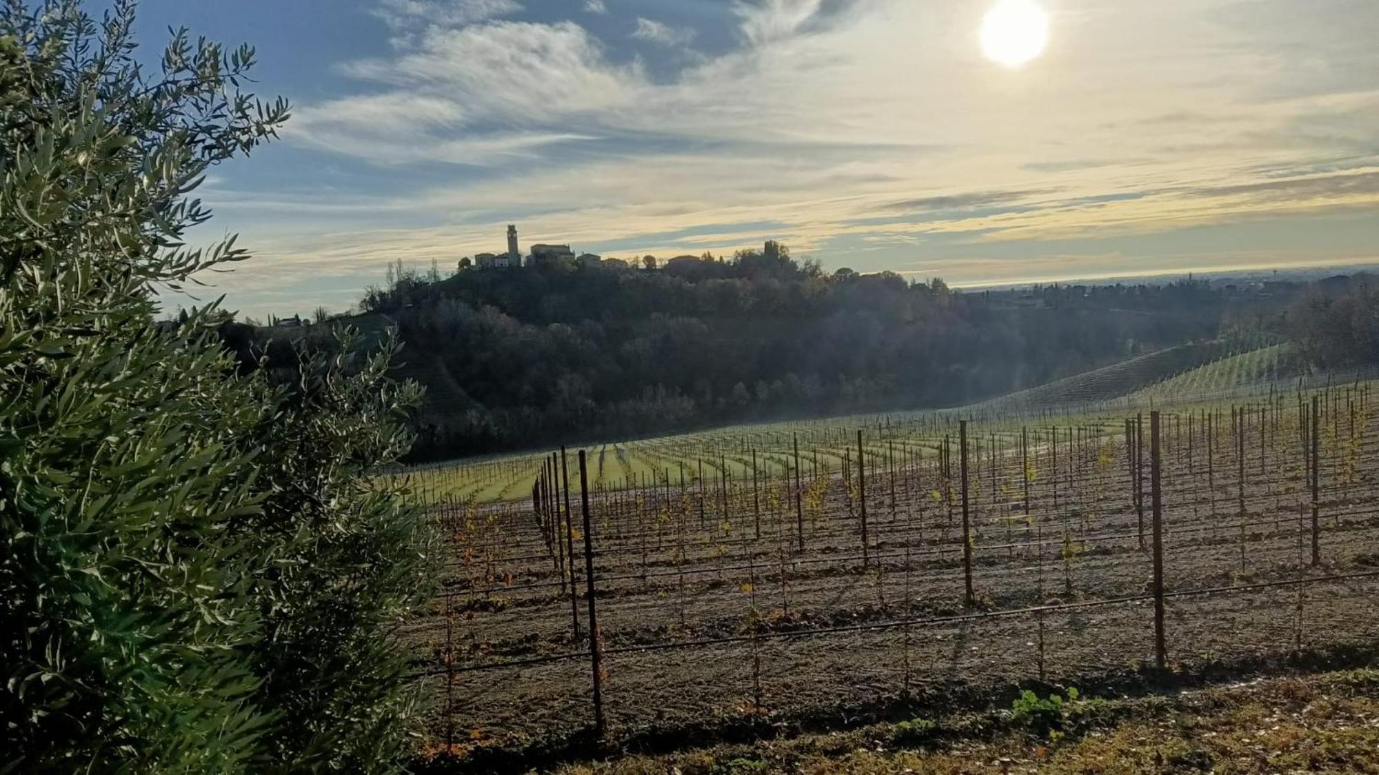 Il Giuggiolo Bed and Breakfast Conegliano Exteriör bild