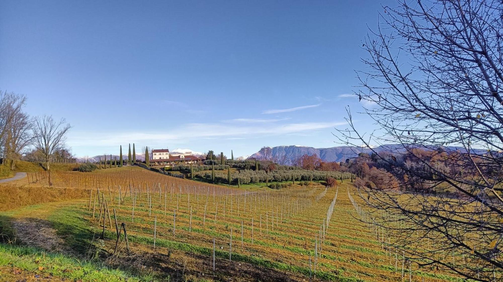 Il Giuggiolo Bed and Breakfast Conegliano Exteriör bild