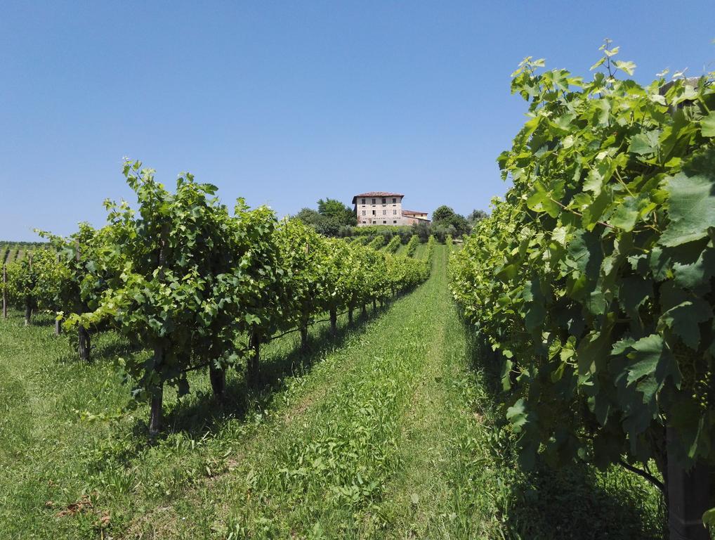 Il Giuggiolo Bed and Breakfast Conegliano Exteriör bild